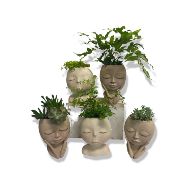 cute-face-planter